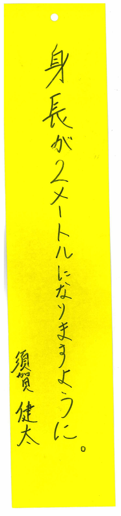 七夕企画2025